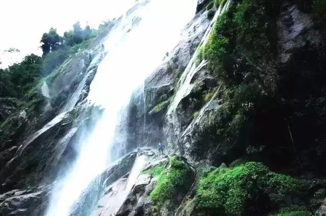 小僵尸消消看