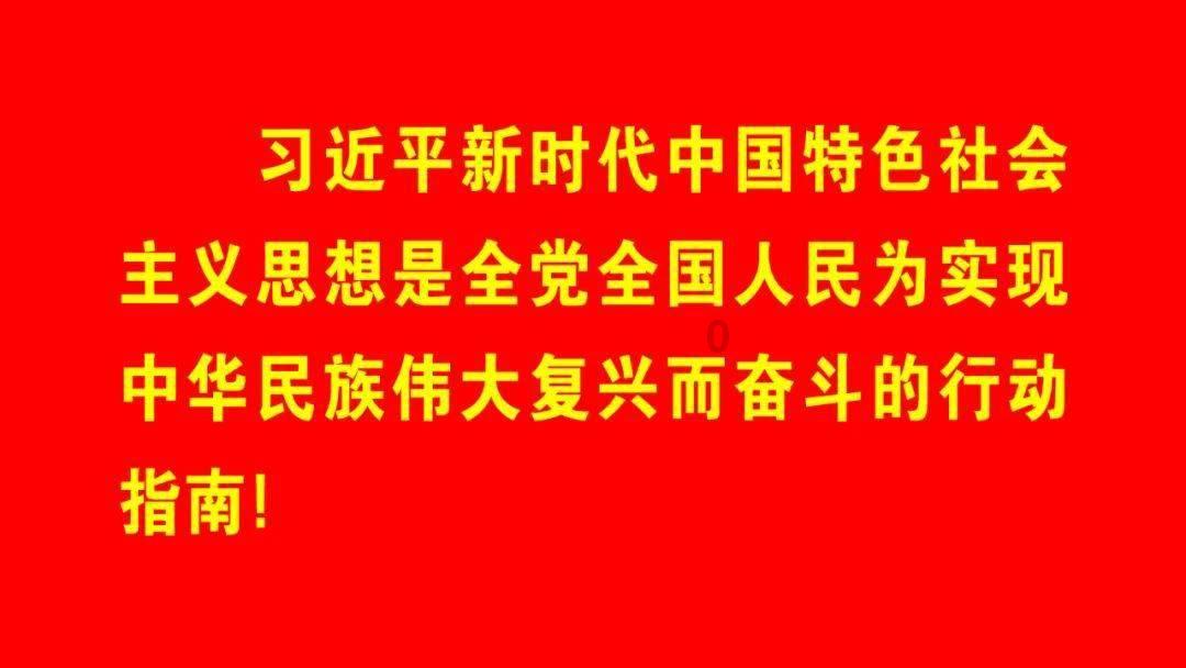 探探猫历险记