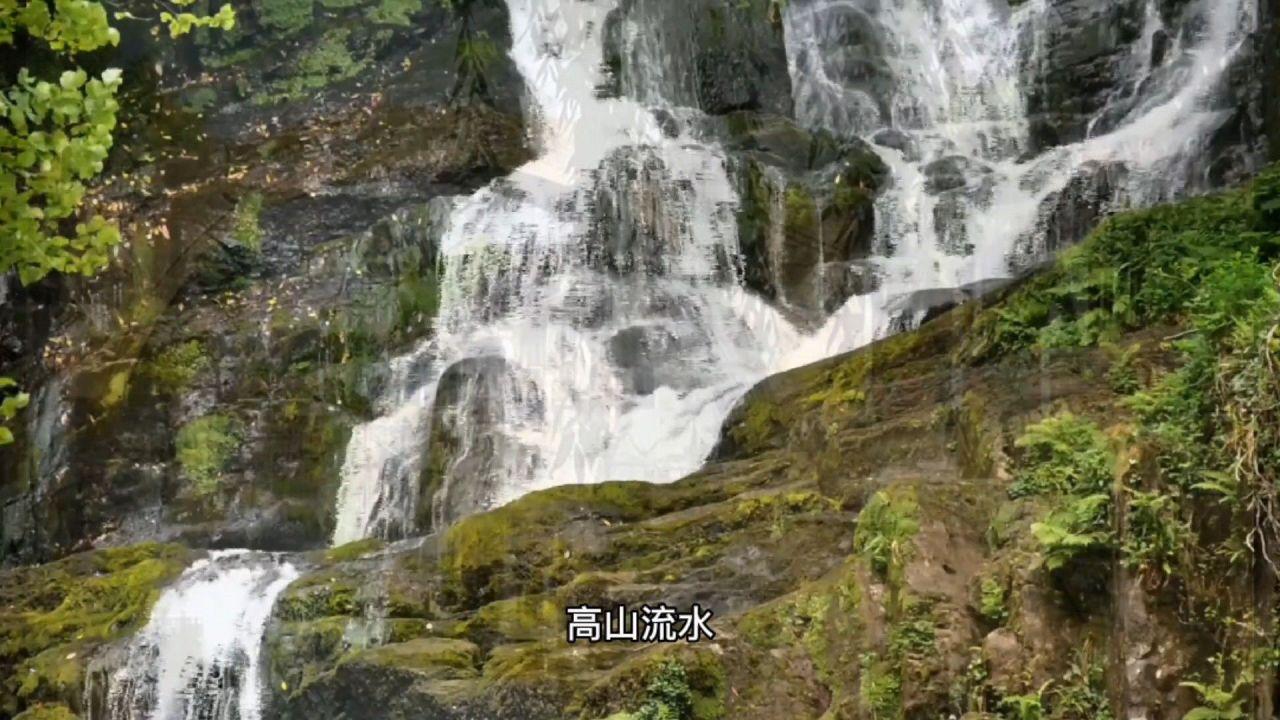 像旅行青蛙这类的放置类型的游戏有哪些吸引人的地方？游戏画面